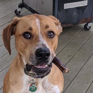 Meet your Posher, John